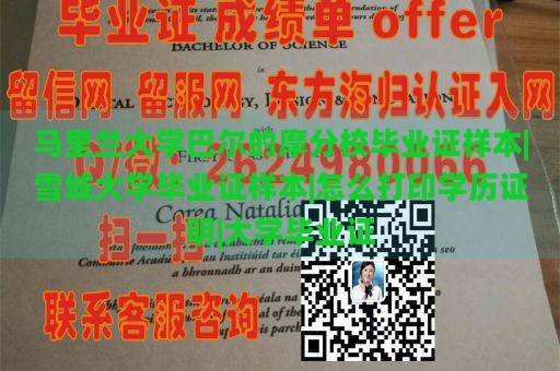 马里兰大学巴尔的摩分校毕业证样本|雪城大学毕业证样本|怎么打印学历证明|大学毕业证