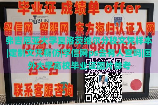 弗吉尼亚大学夏洛茨维尔分校文凭样本|定制文凭精仿|学信网ps会有人查吗|国外大学高校毕业证图片参考