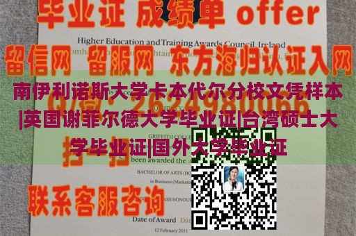 南伊利诺斯大学卡本代尔分校文凭样本|英国谢菲尔德大学毕业证|台湾硕士大学毕业证|国外大学毕业证