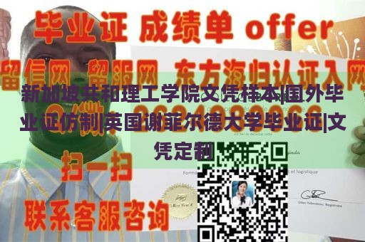 新加坡共和理工学院文凭样本|国外毕业证仿制|英国谢菲尔德大学毕业证|文凭定制