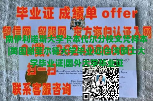 南伊利诺斯大学卡本代尔分校文凭样本|英国谢菲尔德大学毕业证|台湾硕士大学毕业证|国外大学毕业证