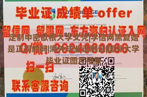 定制中密歇根大学文凭|学信网黑夏姐是正规的吗|海外毕业证制证|国外大学毕业证图片模版