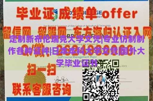 定制新布伦瑞克大学文凭|专业仿制制作各种证件|日本本科大学文凭|国外大学毕业证书